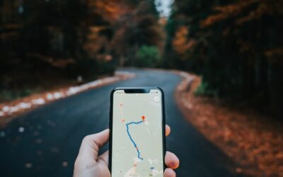 Google Maps is making it easier to see wildfires and tree coverage