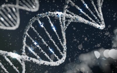 Scientists Finally Sequence the Entire Human Genome