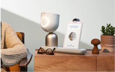 NY State is giving out hundreds of robots as companions for the elderly