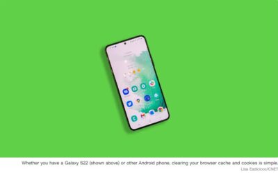 Clear Your Android Phone’s Cookies and Cache To Get Rid of Excess Junk Files