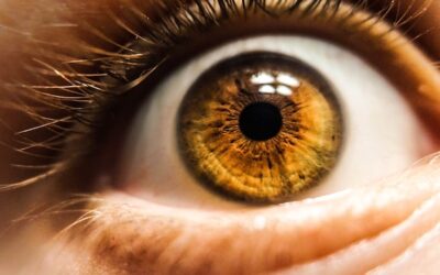 AI tool can scan your retina and predict your risk of heart disease ‘in 60 seconds or less’